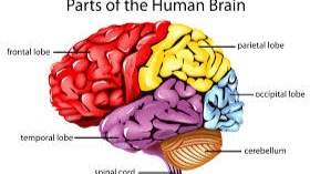 pack cover image