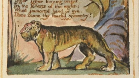 pack cover image