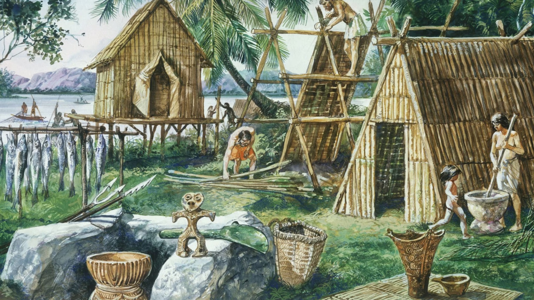 pack cover image