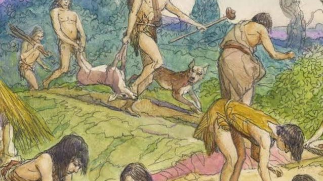 pack cover image