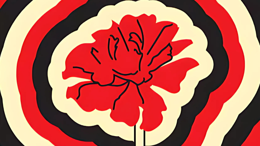 pack cover image