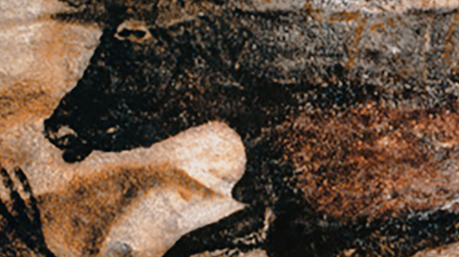 pack cover image