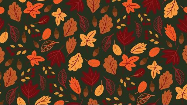 pack cover image