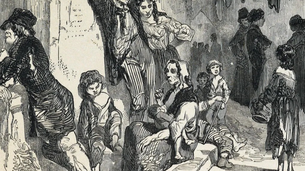 pack cover image