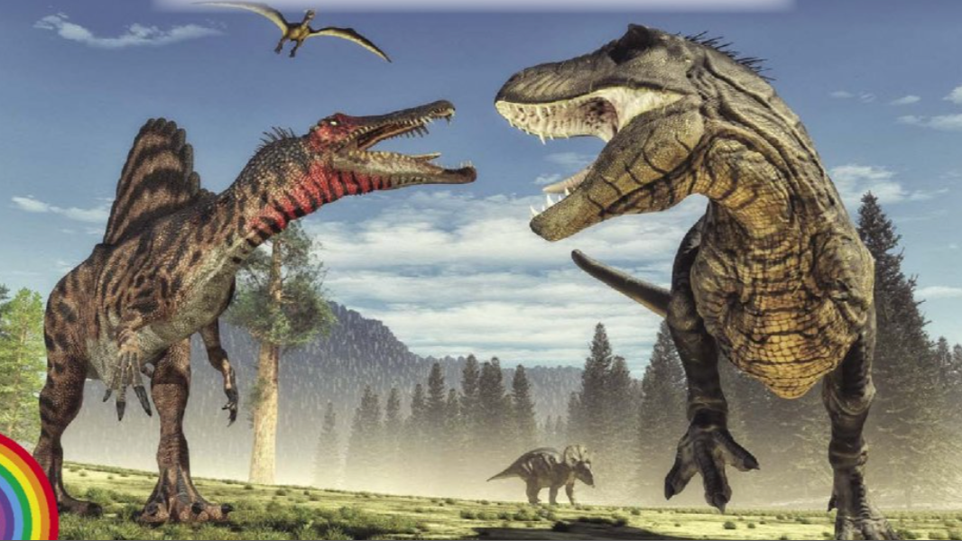 pack cover image